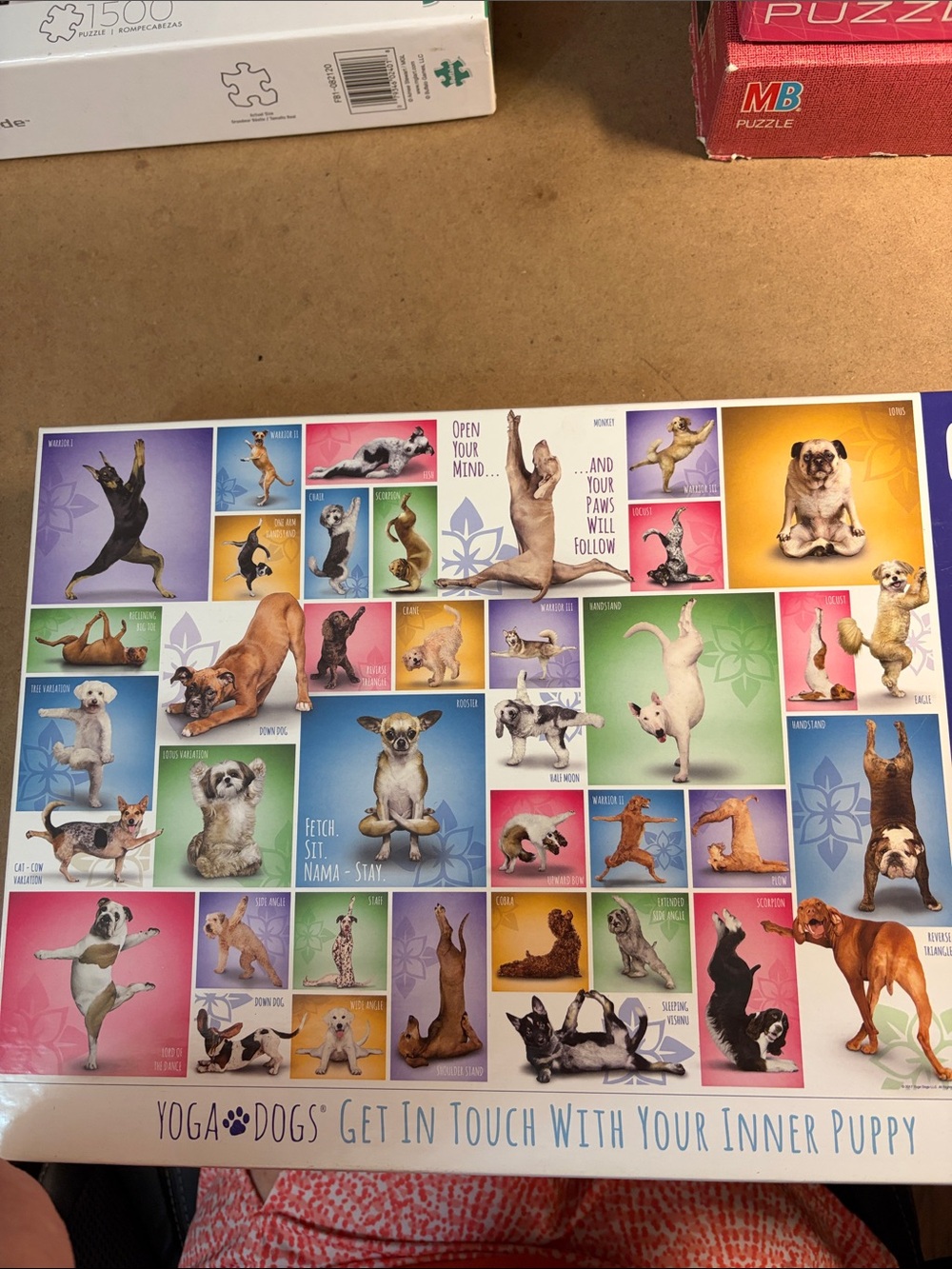 🧩 1000 piece Eurographics “Yoga Dogs”. Colorful, Darling Puppy Collage. Complete